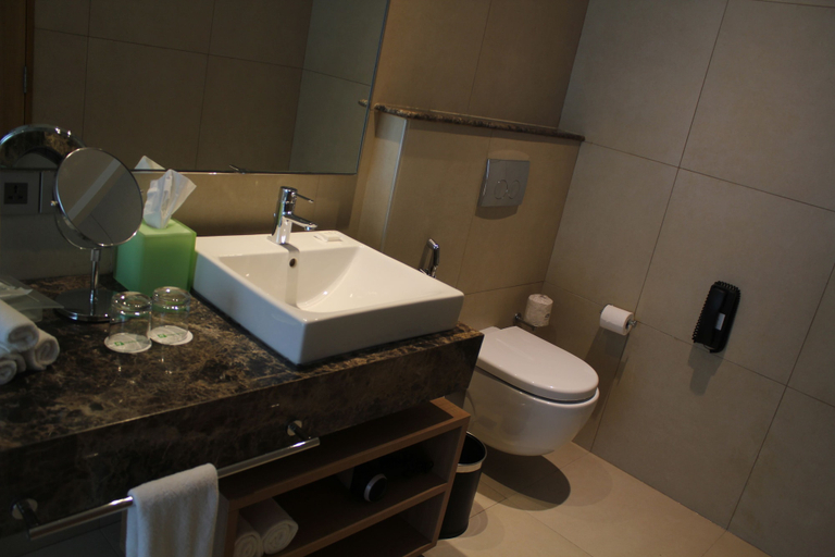 Bathroom 5, Holiday Inn CHENNAI OMR IT EXPRESSWAY by IHG, Chennai
