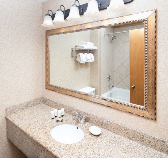 Bathroom 4, Red Lion Hotel Kennewick Columbia Center, Benton