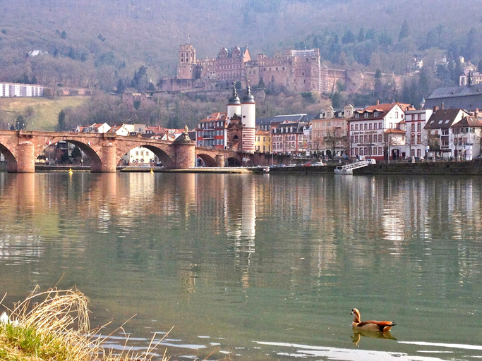 Exterior & Views 2, Lotte Hostel, Heidelberg