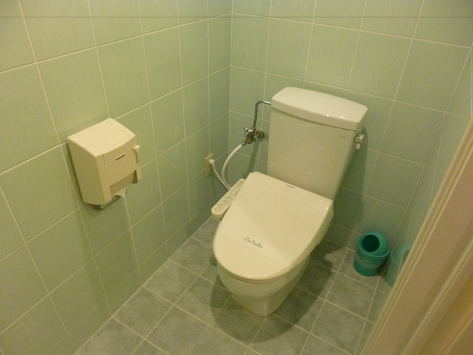 Bathroom 3, Hotel Shalala, Okinawa