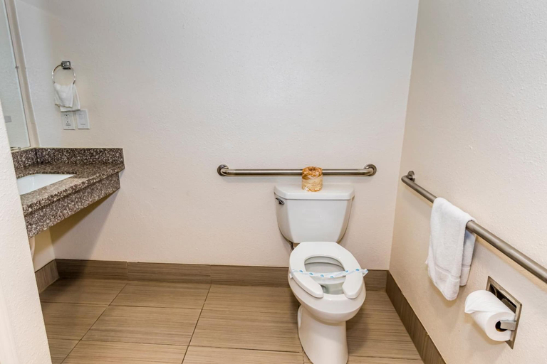 Bathroom 4, King's Rest Motel, Santa Clara