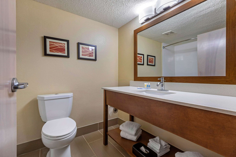 Bathroom 4, Comfort Inn N Myrtle Beach Barefoot Landing, Horry