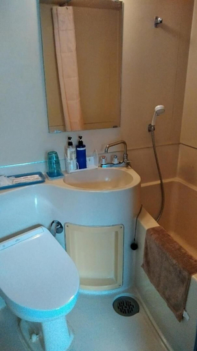 Bathroom 3, Hotel Takanoya, Hadano