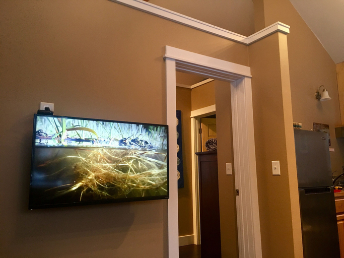 Others 5, Talkeetna's Mount Dall Cottage - WiFi&laundry - easy access from Parks Highway!, Matanuska-Susitna