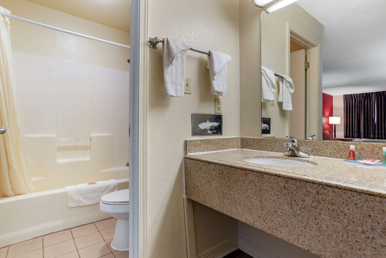 Bathroom 4, Econo Lodge Pearl, Rankin