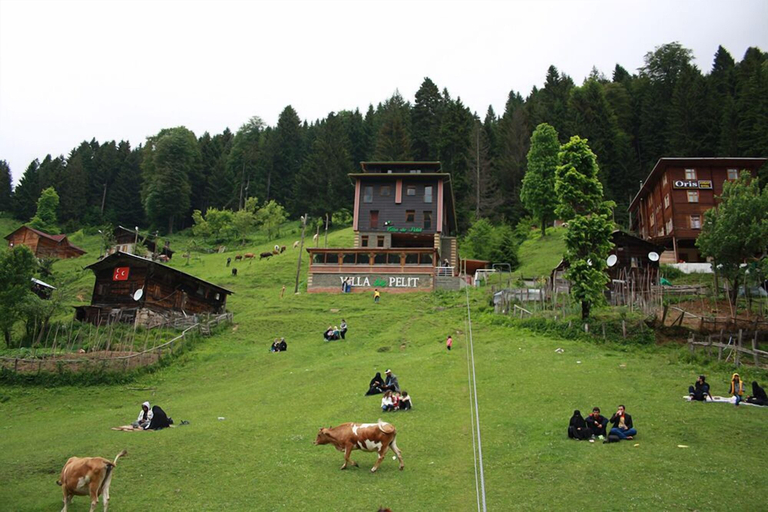 Exterior & Views 2, Ayder Villa de Pelit Hotel, Ardeşen