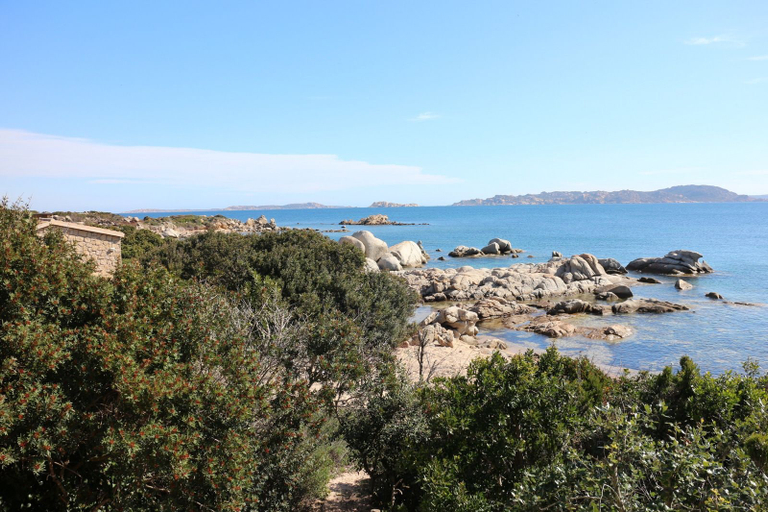 View from property 3, Villette Valle dell'Erica, Olbia-Tempio