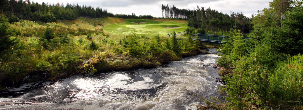Others 1, The Wilds at Salmonier River, Division No. 1