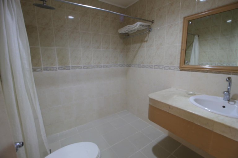 Bathroom 4, EON Centennial Plaza Hotel, Iloilo City