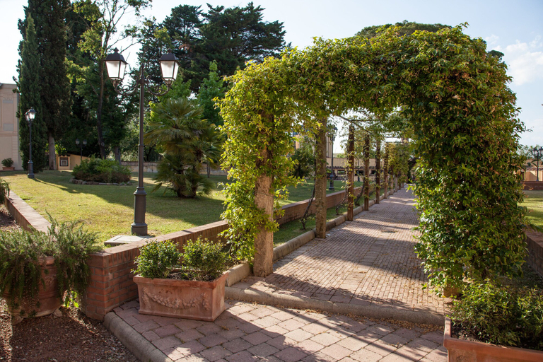 Others 5, Villa Borri Terme, Pisa
