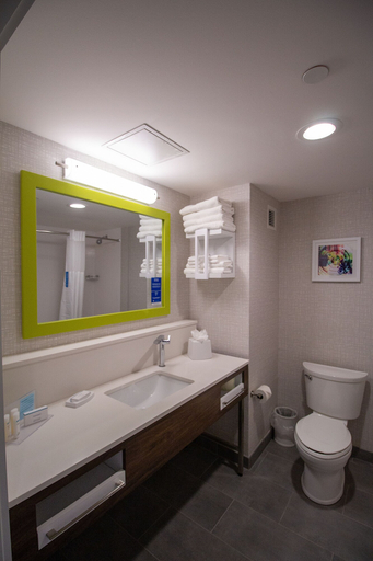 Bathroom 4, Hampton Inn & Suites North Attleboro, Bristol