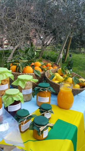 Food & Drinks 5, Agriturismo Archelao, Oristano