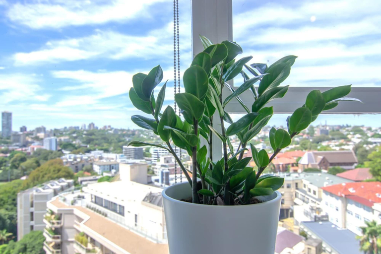 Others 5, Bright 1 Bedroom Studio With Amazing City Views, Sydney