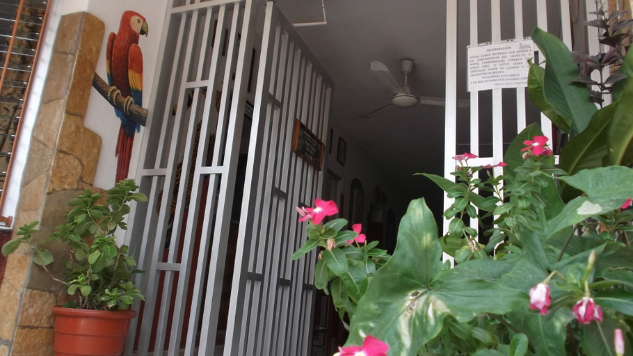 Exterior & Views 2, Hotel Canek, Palenque