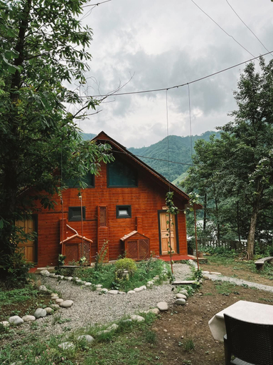 Primary image