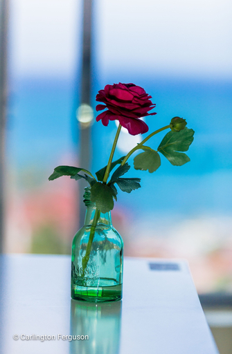 Food & Drinks 5, Serenity By The Sea 211B - Turtle Towers