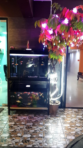 Others 5, Lert Sri Hotel, Muang Suphanburi