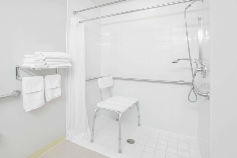 Bathroom 4, Microtel Inn & Suites by Wyndham Manistee, Manistee