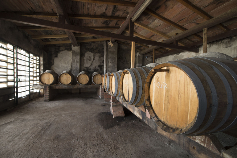 Winery 2, Tenuta Montespertoli, Florence