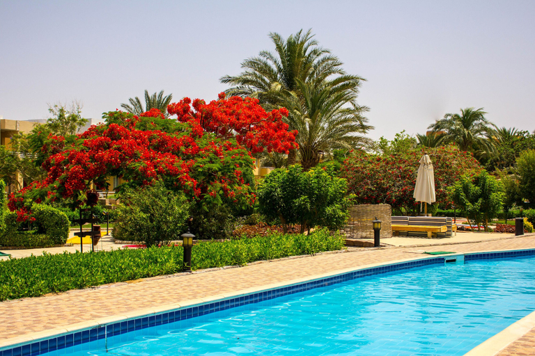 Sport & Beauty 3, Golden Beach Resort - All inclusive, Al-Ghurdaqah