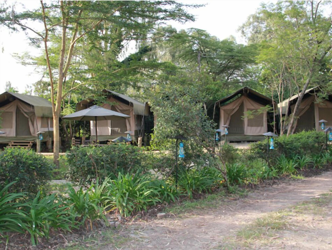 Others 4, Wildebeest Eco Camp, Langata