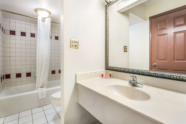 Bathroom 4, Econo Lodge Inn & Suites Macon West, Bibb