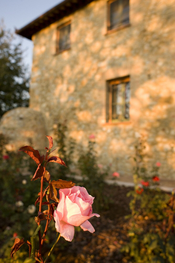 Exterior & Views 2, Villa Il Castagno Wine & Resort, Siena