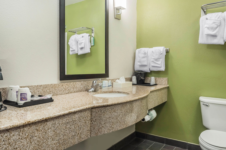 Bathroom 4, Sleep Inn & Suites Dothan North, Houston