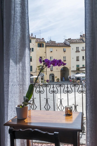 Others 5, B&B Arena di Lucca, Lucca