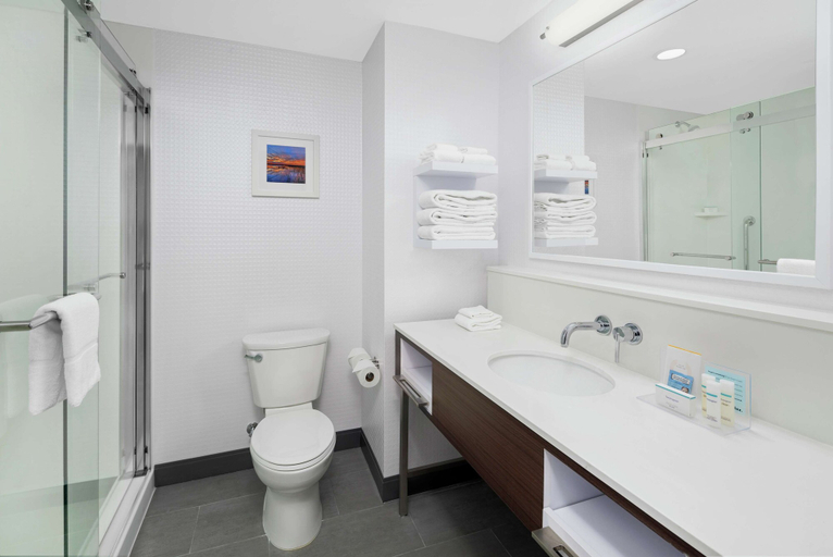Bathroom 4, Hampton Inn Sikeston, New Madrid