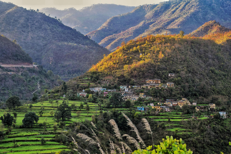 Others 3, The Raajas - Camp & Resorts, Garhwal