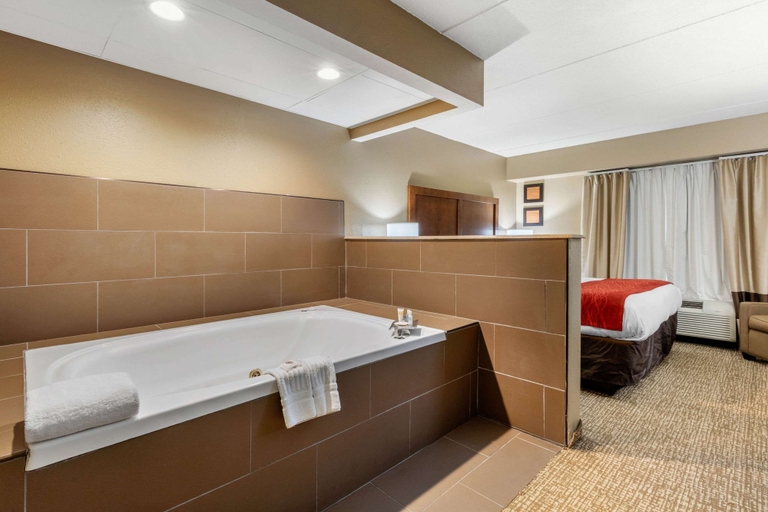 Bathroom 5, Comfort Inn & Suites Hamilton Place, Hamilton