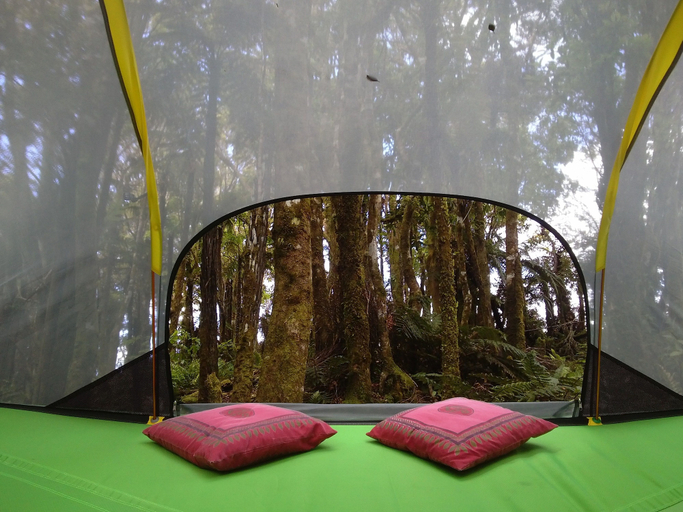 Bedroom, Pupu Rangi Nature Sanctuary - Conservation Area, Kaipara