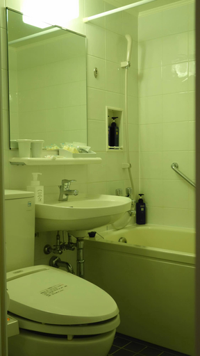 Bathroom 4, City Plaza Osaka, Osaka