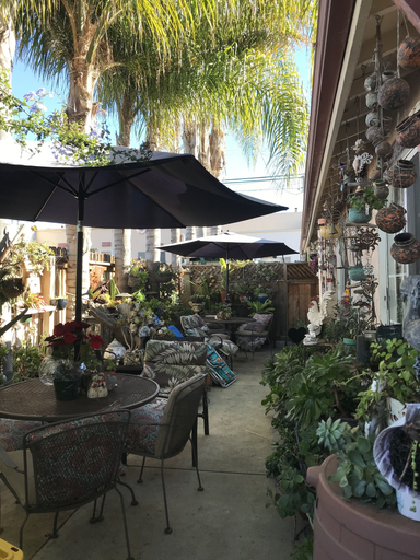 Food & Drinks 4, Always Inn San Clemente Bed & Breakfast, Orange