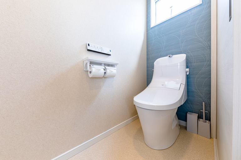 Bathroom 4, Bon Moment B, Fujikawaguchiko