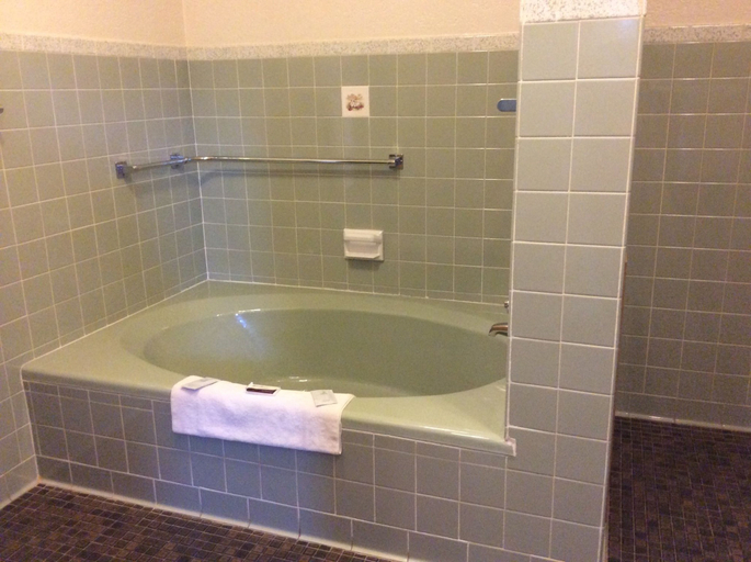 Bathroom 3, Nevada Inn, Vernon