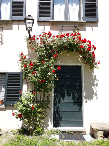 Exterior & Views 2, Agriturismo Ca' le Suore, Pesaro E Urbino