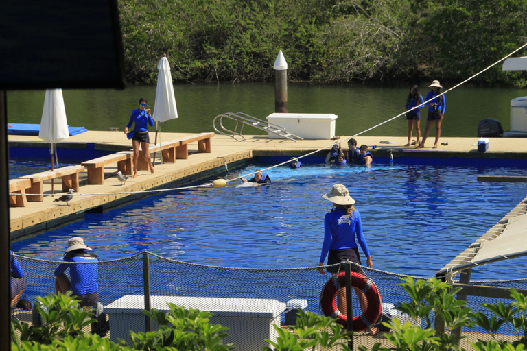 Sport & Beauty 2, Villa Varadero, Puerto Vallarta