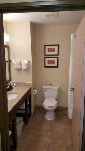 Bathroom 4, Comfort Inn & Suites Moberly, Randolph