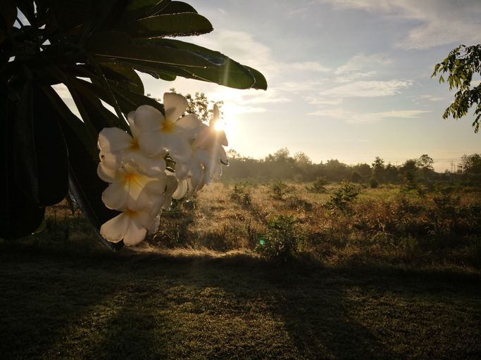 Others 5, Eskimo Resort, Muang Phetchabun