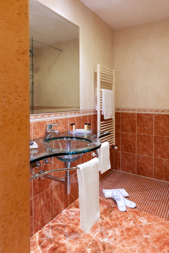 Bathroom 4, Agorà Palace Hotel, Biella