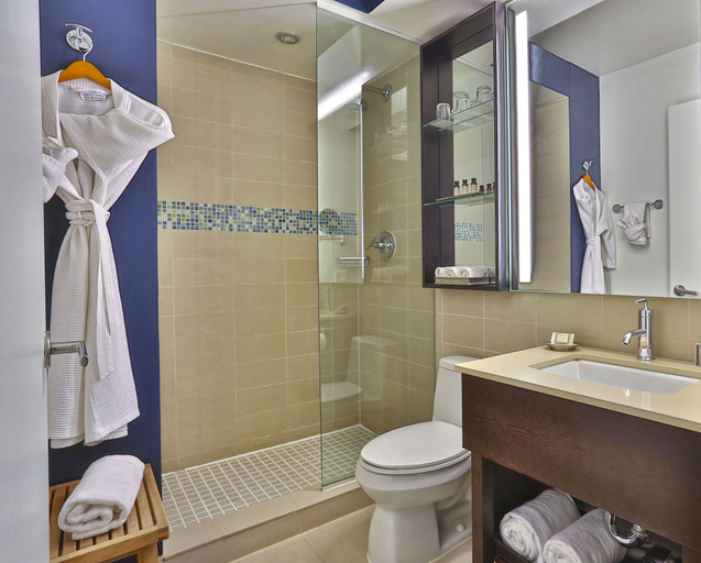 Bathroom 4, Hotel Hayden, New York
