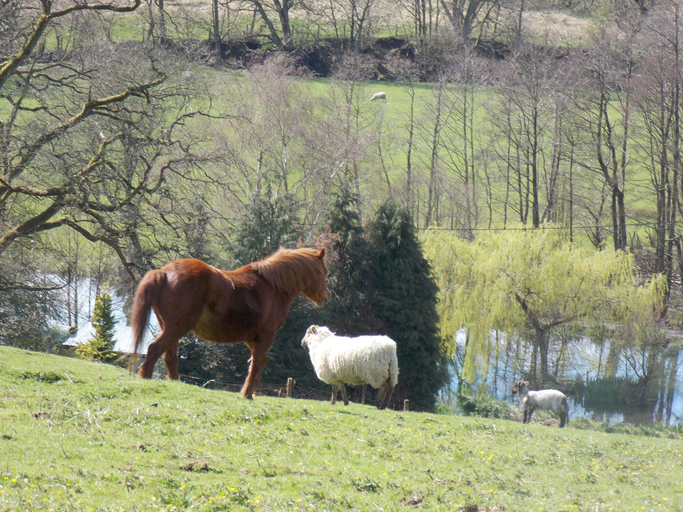 Others 5, Three Wells, Powys