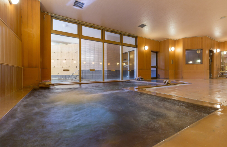 Others 5, Hotel Hanasarasa, Nakatsugawa