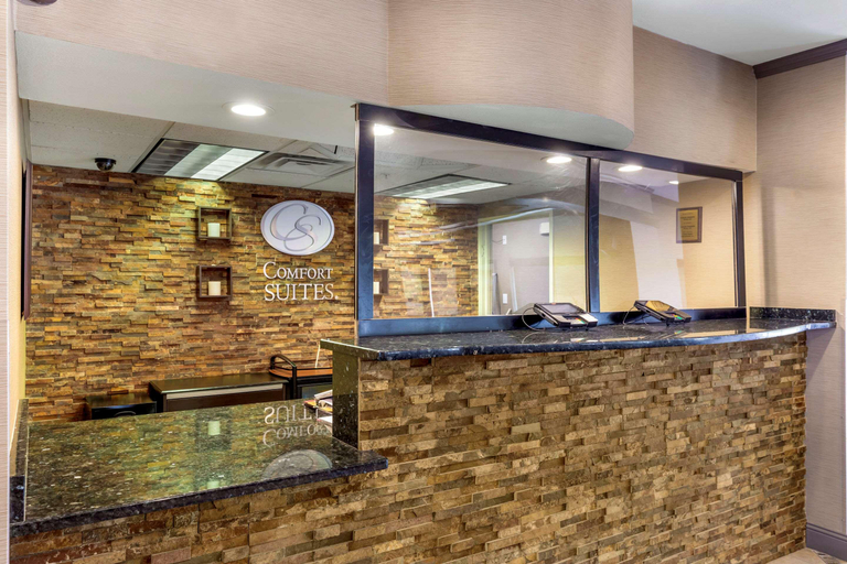 Public Area 2, Comfort Suites Denver Tech Center / Engleewood , Arapahoe