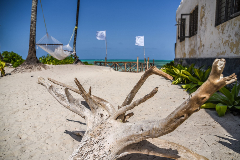 Exterior & Views, Pili Pili Boutique Lodge, Kusini