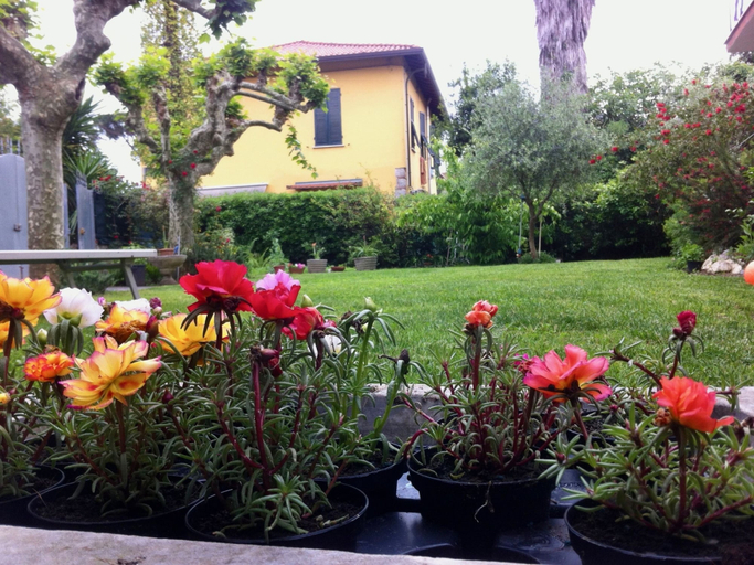 Others 4, La Casina, Massa Carrara