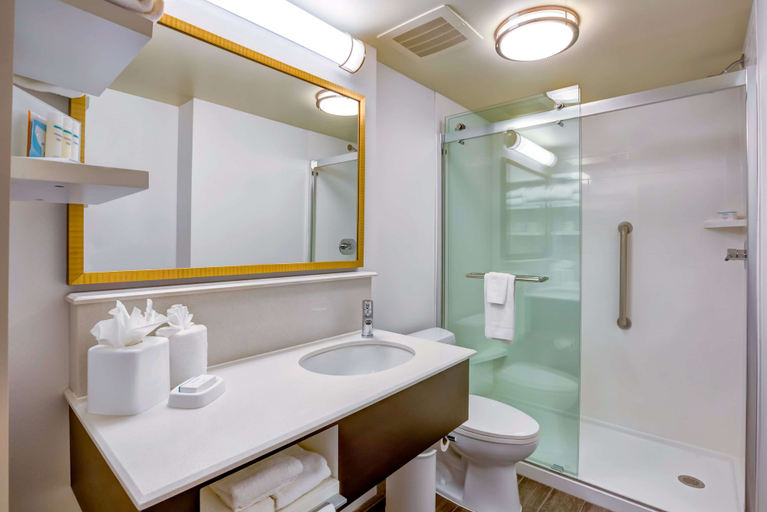 Bathroom 4, Hampton Inn Boston - Norwood, Norfolk