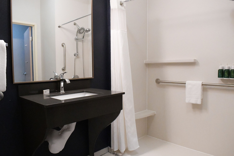 Bathroom 3, Fairfield by Marriott Mt Pleasant, Isabella